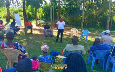 Beekeeping Training in Partnership With Youth Fund