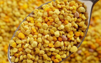 Pollen for Inflammation: 5 Gentle Ways This Natural Reset Transforms Your Body