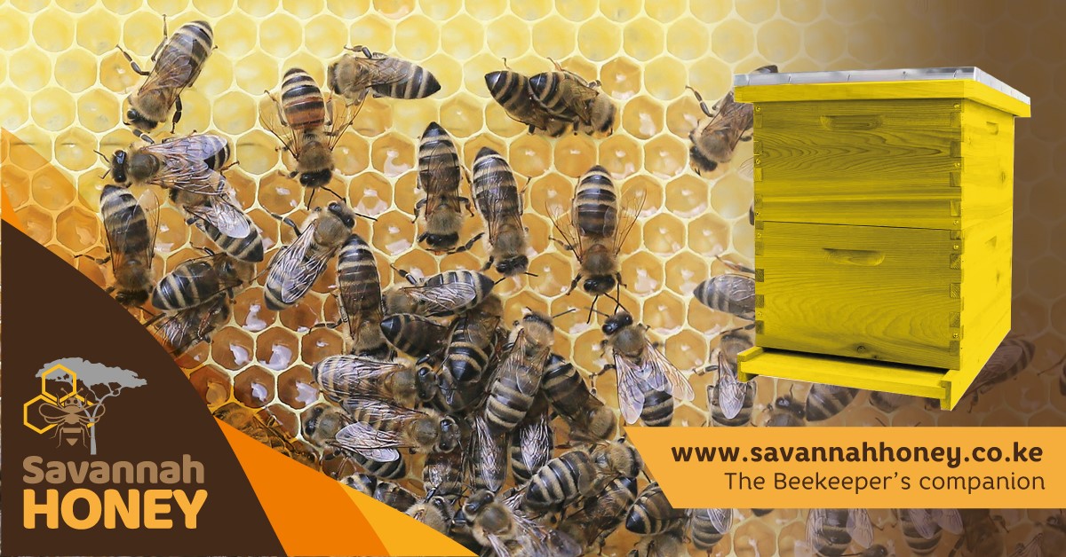 List Of Best Beekeeping Equipment Dealers In Kenya