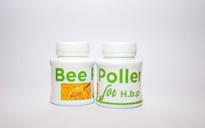 Apitherapy in Kenya: Benefits, Uses, and Limits of Bee Products for Health