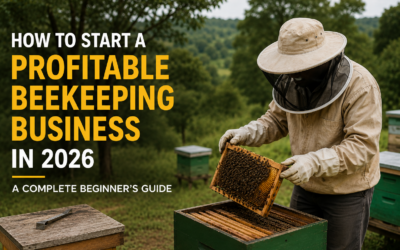 How to Start a Profitable Beekeeping Business in Kenya 2026: A Complete Beginner’s Guide